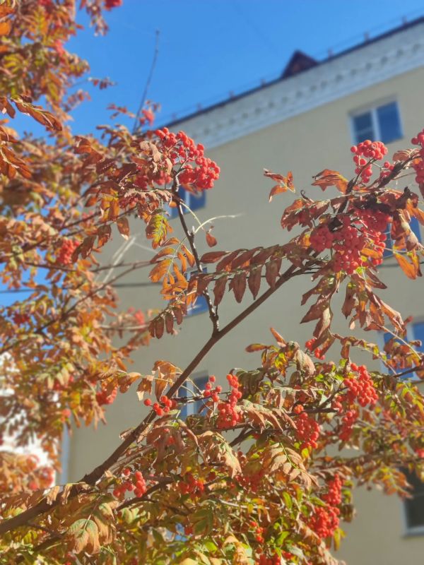 Актуальная информация о действующих управляющих организациях по состоянию на 01.10.2026