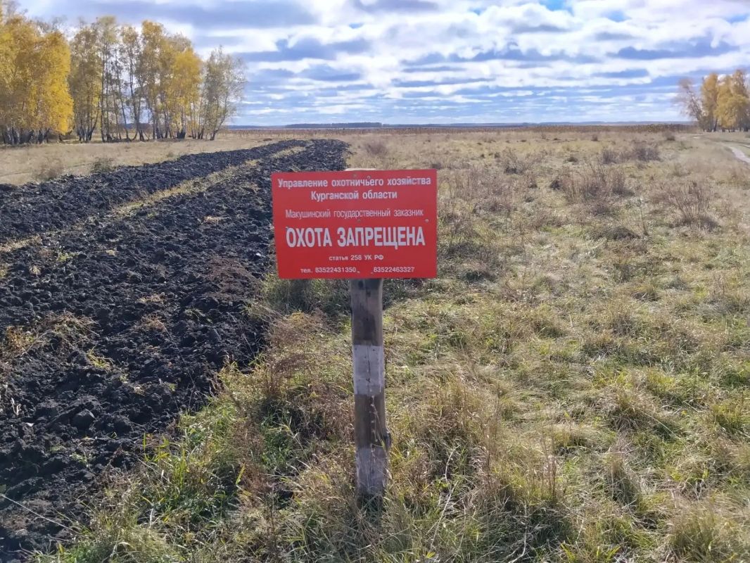 В Макушинском округе прошли регулярные рейдовые мероприятия по охране природы. В центре внимания инспекторов — местный государственный природный зоологический заказник, уникальная экосистема которого раскинулась на древней... В Макушинском округе прошли регулярные рейдовые мероприятия по охране природы. В центре внимания инспекторов — местный государственный природный зоологический заказник, уникальная экосистема которого раскинулась на древней...