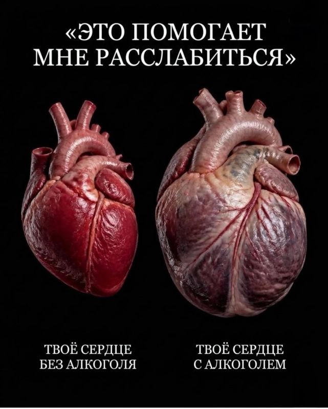 Сердце под микроскопом: как алкоголь меняет наш главный орган Сердце под микроскопом: как алкоголь меняет наш главный орган
