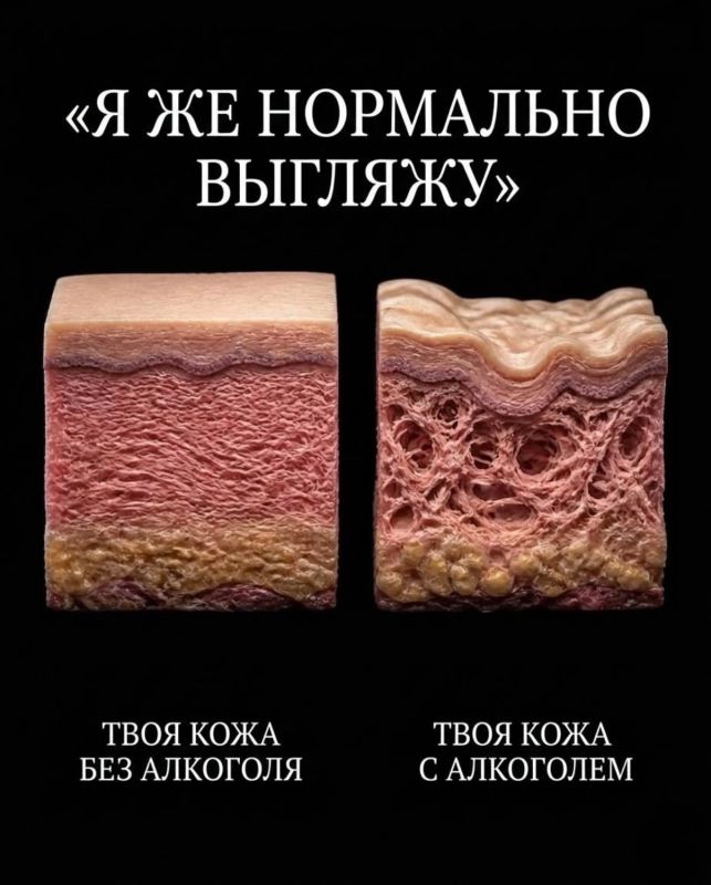 Сердце под микроскопом: как алкоголь меняет наш главный орган Сердце под микроскопом: как алкоголь меняет наш главный орган