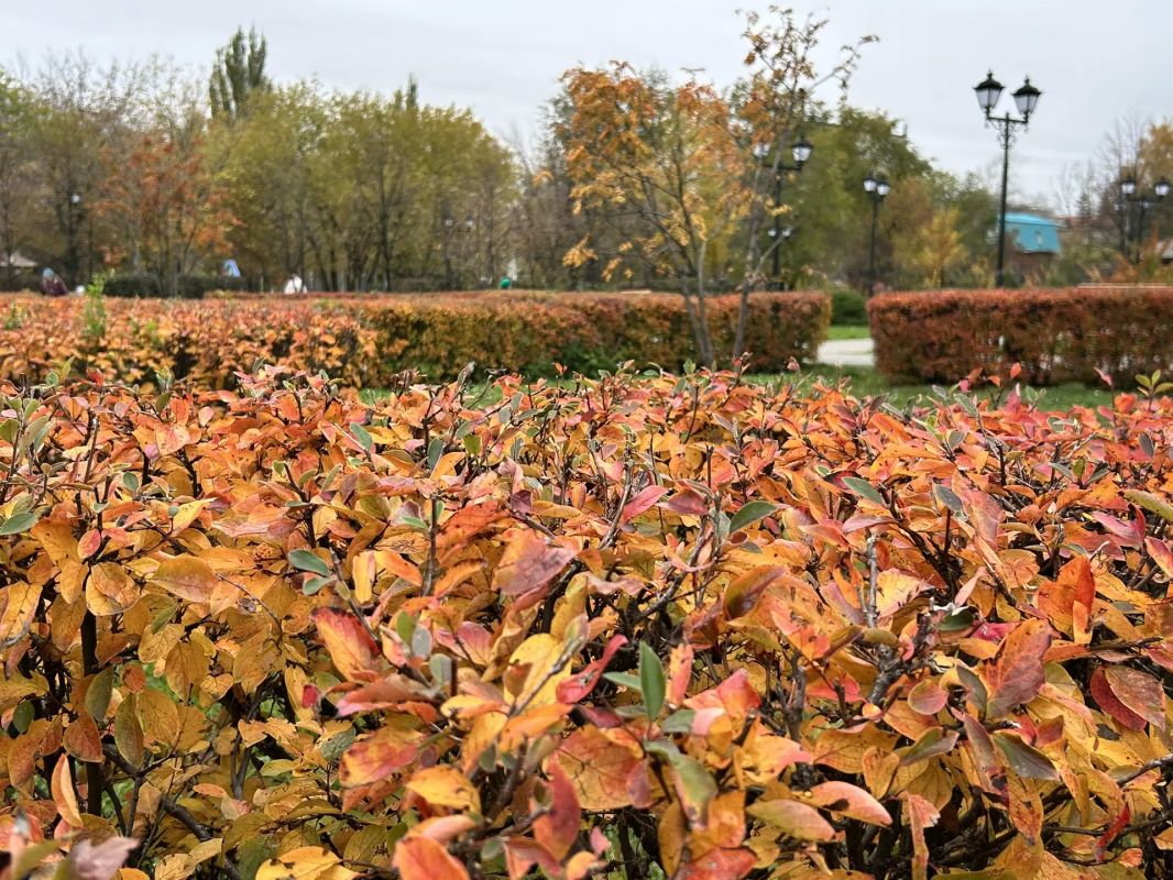 Яркий осенний Городской сад Яркий осенний Городской сад