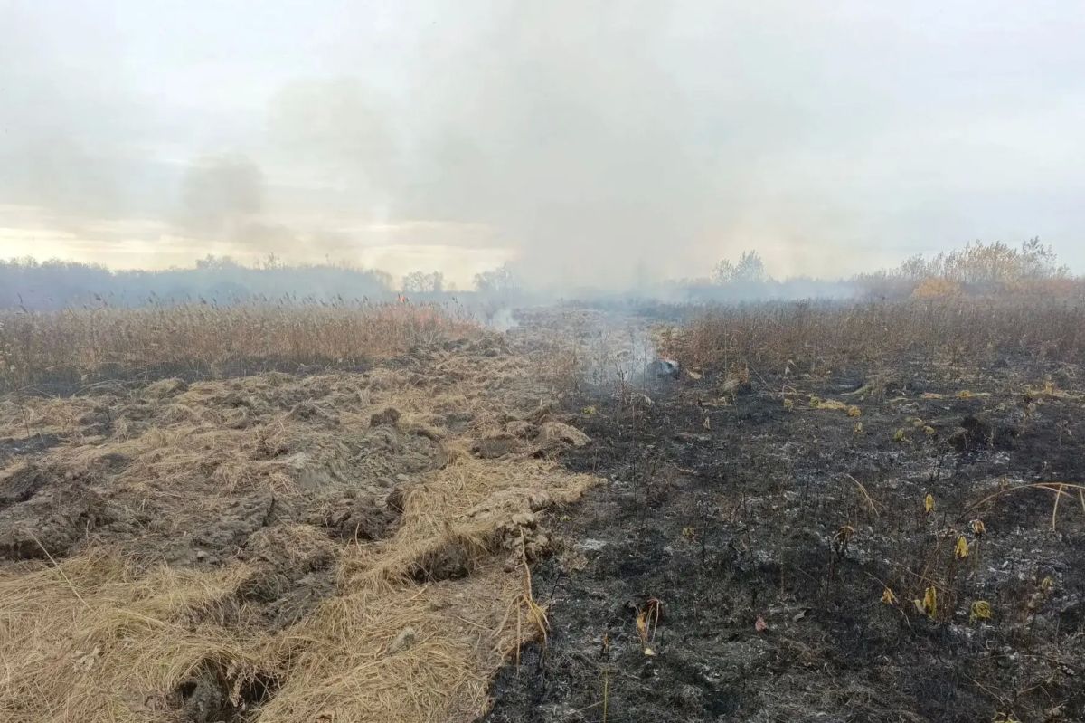 В Кургане на систематической основе ведется комплекс профилактических мероприятий по обеспечению пожарной безопасности, таких, как окос камыша, отжиги сухой растительности, создание минерализованных полос вблизи... В Кургане на систематической основе ведется комплекс профилактических мероприятий по обеспечению пожарной безопасности, таких, как окос камыша, отжиги сухой растительности, создание минерализованных полос вблизи...