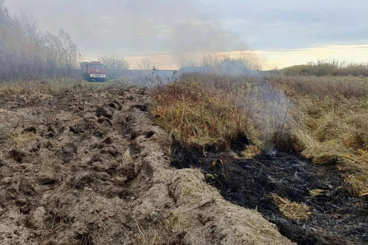 В Кургане на систематической основе ведется комплекс профилактических мероприятий по обеспечению пожарной безопасности, таких, как окос камыша, отжиги сухой растительности, создание минерализованных полос вблизи... В Кургане на систематической основе ведется комплекс профилактических мероприятий по обеспечению пожарной безопасности, таких, как окос камыша, отжиги сухой растительности, создание минерализованных полос вблизи...