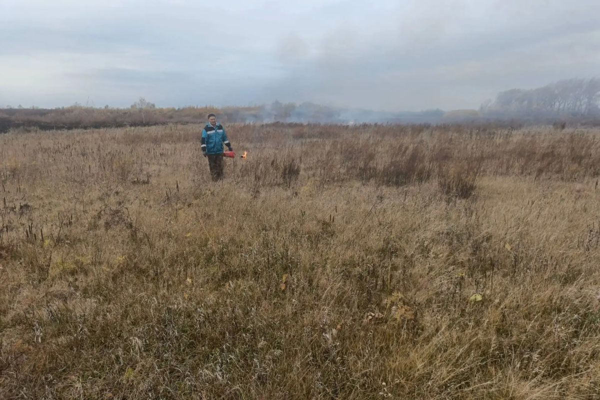 В Кургане на систематической основе ведется комплекс профилактических мероприятий по обеспечению пожарной безопасности, таких, как окос камыша, отжиги сухой растительности, создание минерализованных полос вблизи... В Кургане на систематической основе ведется комплекс профилактических мероприятий по обеспечению пожарной безопасности, таких, как окос камыша, отжиги сухой растительности, создание минерализованных полос вблизи...