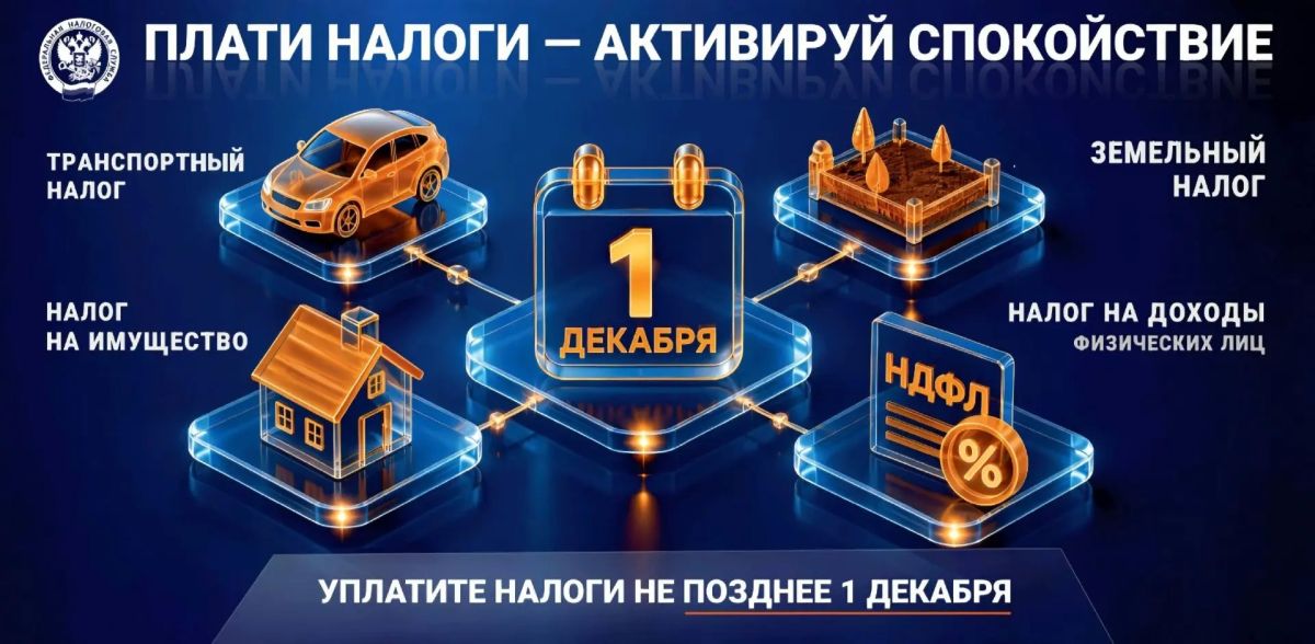 Началась массовая рассылка налоговых уведомлений