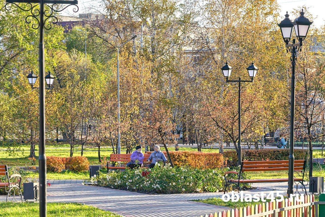 Переменная облачность и юго-западный ветер: прогноз погоды в Курганской области на 16 октября