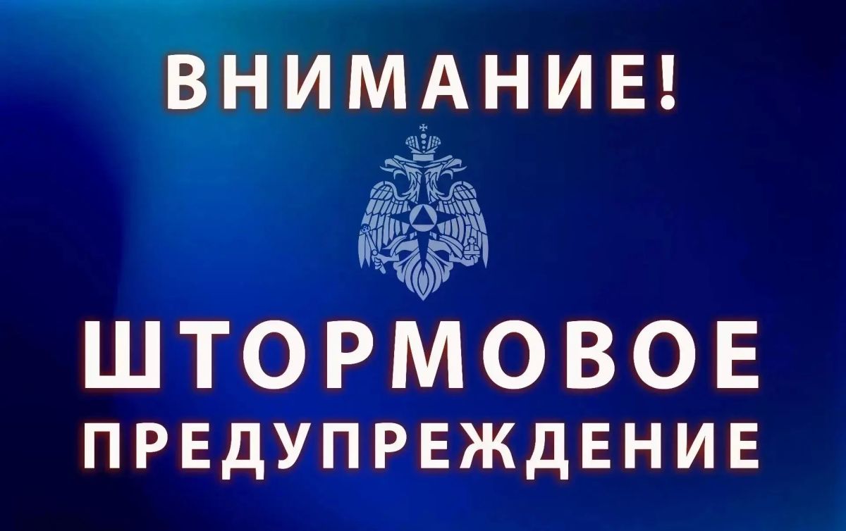 В ближайшие сутки в Курганской области прогнозируют порывы ветра до 16 м/с, днем дождь
