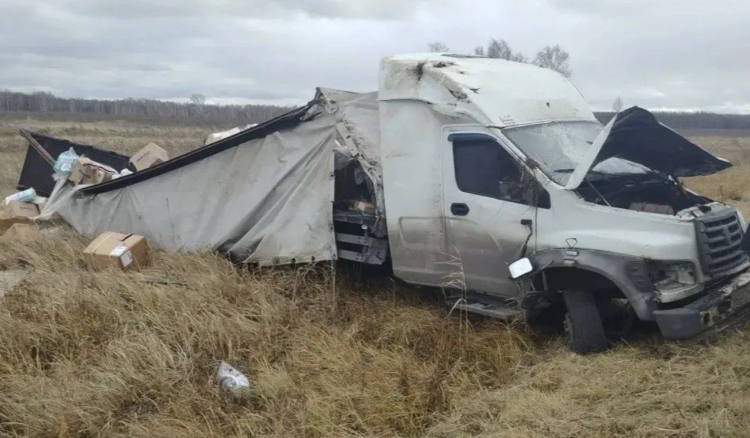 Грузовик улетела в кювет: в Курганской области водитель пострадал в ДТП