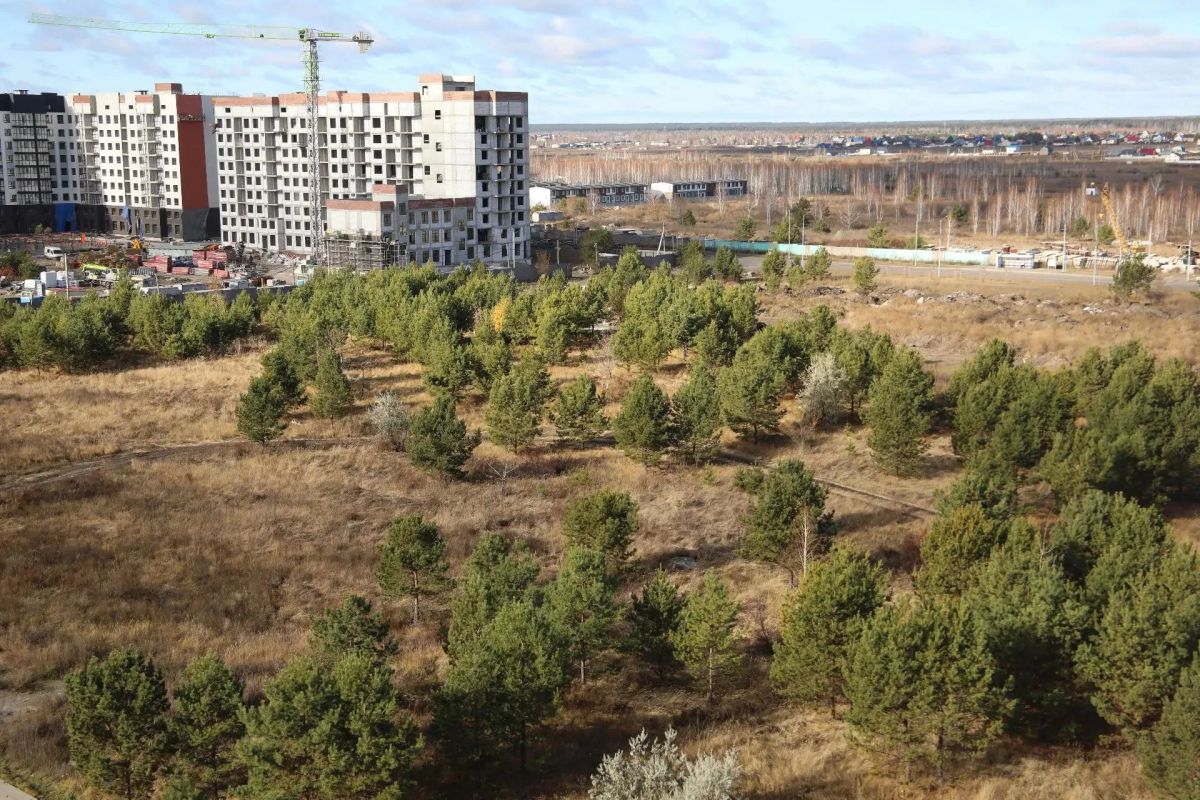 В Заозёрном появится парк площадью 2,5 гектара