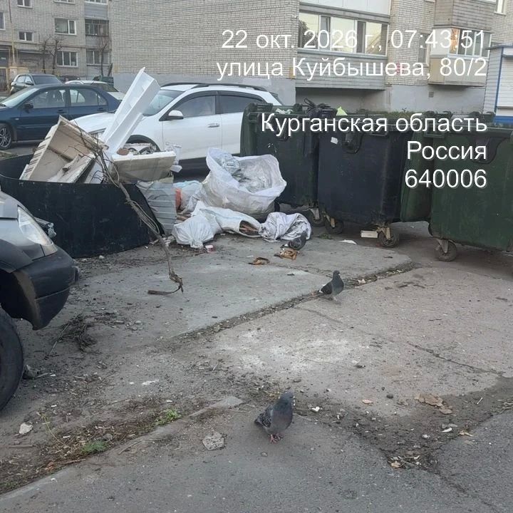 В ходе мониторинга дворовых территорий специалисты нередко фиксируют нарушения в содержании контейнерных площадок В ходе мониторинга дворовых территорий специалисты нередко фиксируют нарушения в содержании контейнерных площадок
