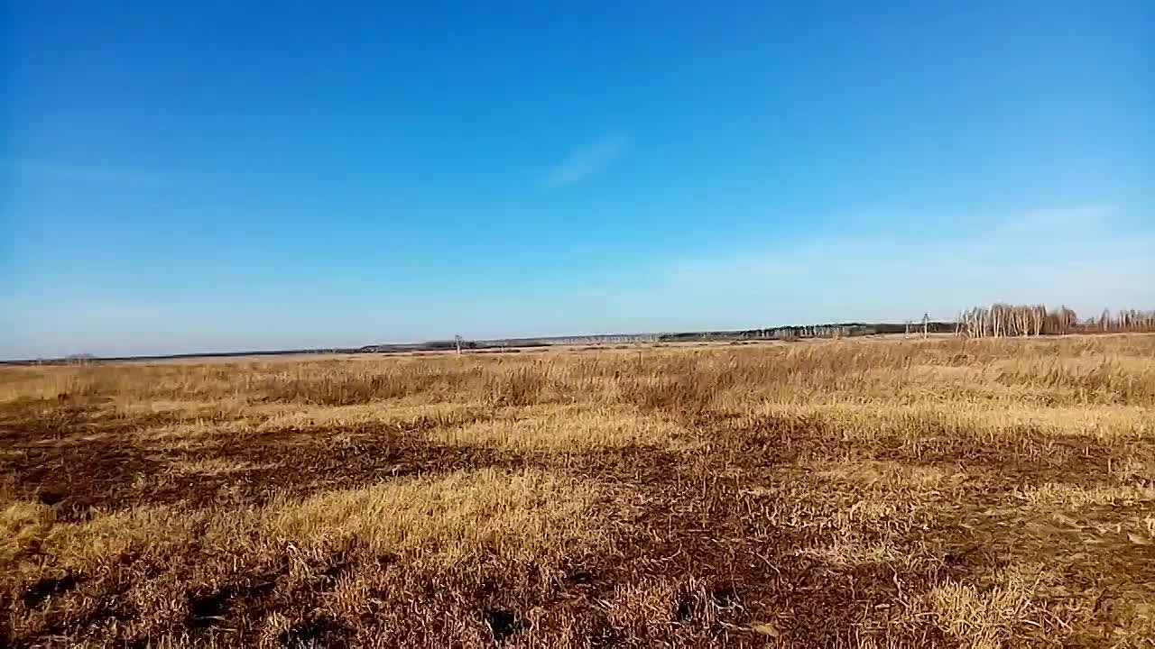 Половинский муниципальный округ мероприятия в рамках постоянного рейда
