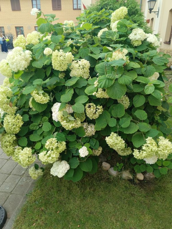 Новая жизнь на пенсии: 5 простых шагов к счастью и удовлетворению