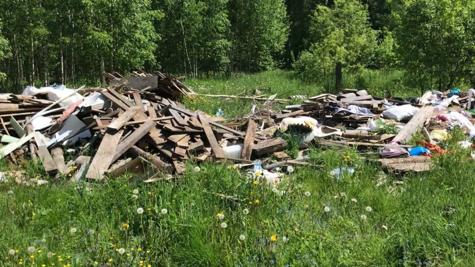Пенсионерка оказалась в центре экологического скандала: 300 тысяч рублей за мусор на участке