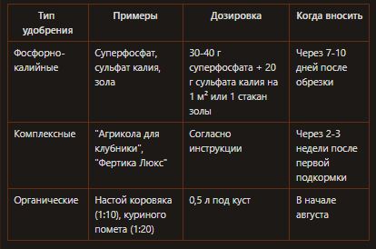 Как обеспечить сладкий урожай клубники на следующий год: ключевые шаги после сбора ягод