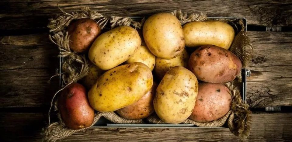 Как сохранить картошку в подвале: лучшие методы предотвращения гниения