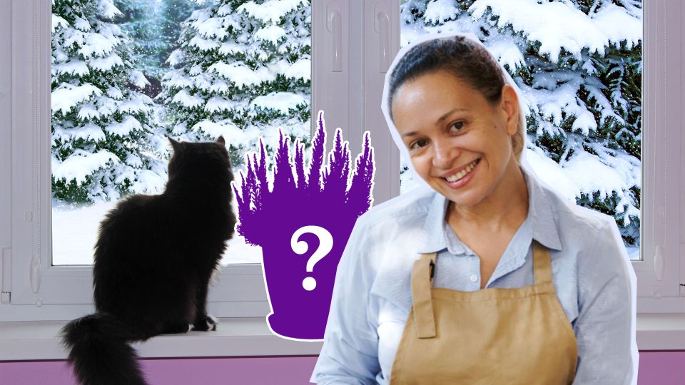 Чтобы наслаждаться цветением все лето: эти растения пора сажать уже в январе