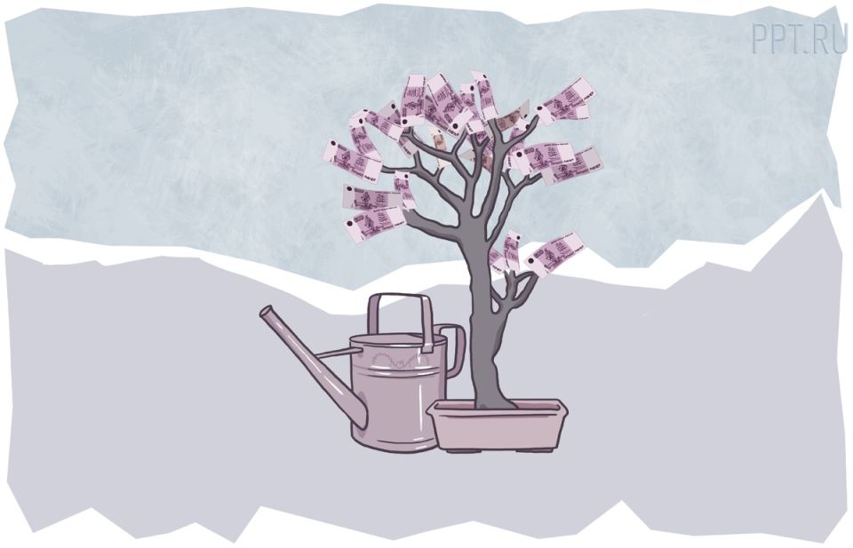 Пенсии и социальные выплаты: что нас ждет в 2025 году