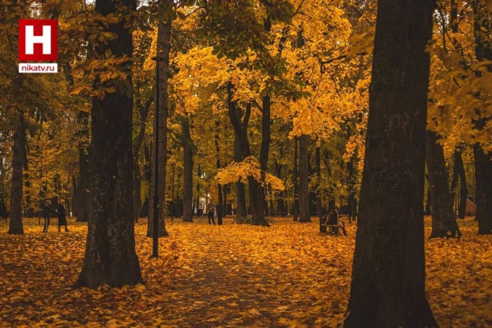 Что ждёт россиян с 1 ноября?