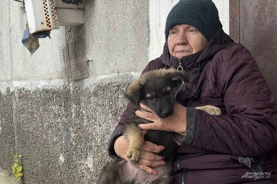 Ростовская область готовит сюрприз для пенсионеров: тринадцатая пенсия к Новому году