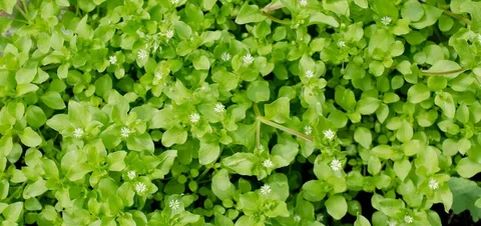 ����� � ��������: ��� �������� ������������ �������� ����� � ����� �������