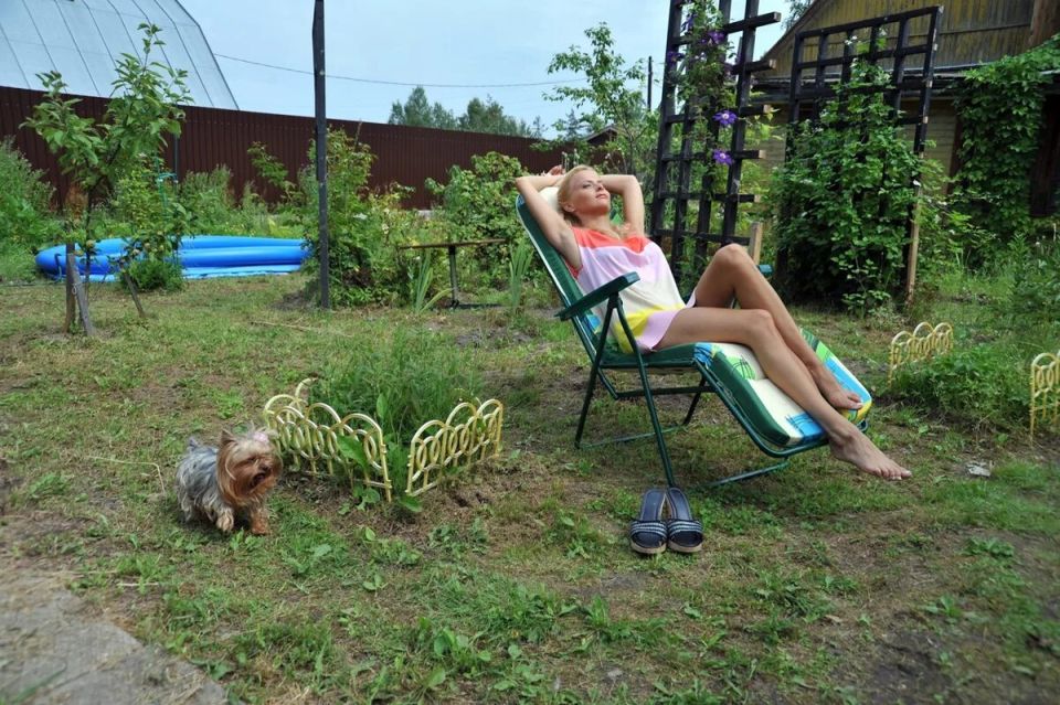 ��� ���������� ���� �� ��������� ������: ������ � ����������� �������