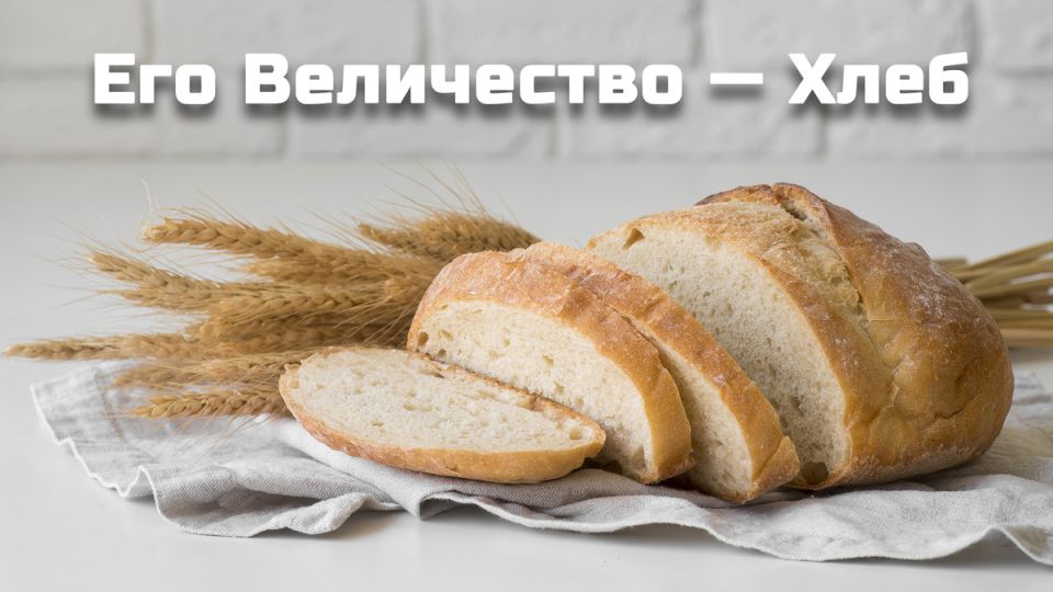 ����: ����� �������� � ������ ����� � ����������� ����