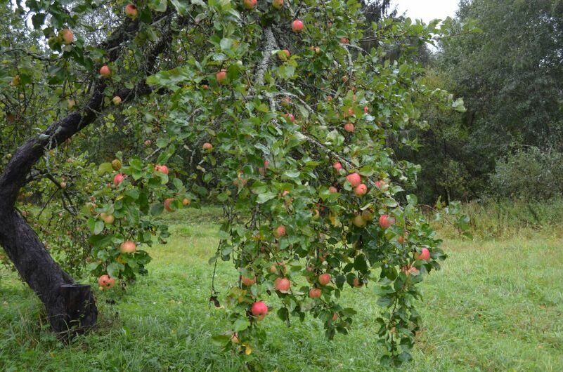 ��� ����������� ������ � ����� ��� ��������� ������