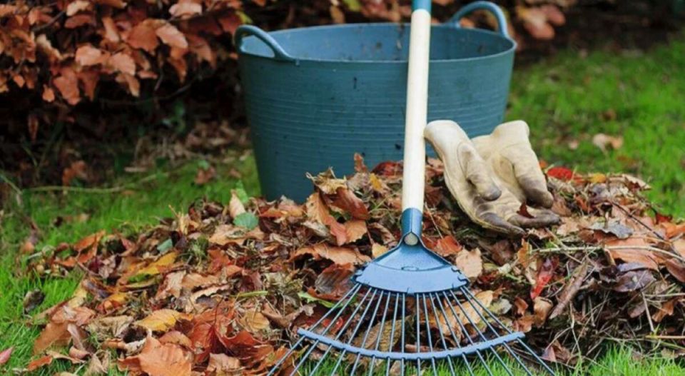 ��� ������� ������ ����� �������� ������� ������ � ��������� ������