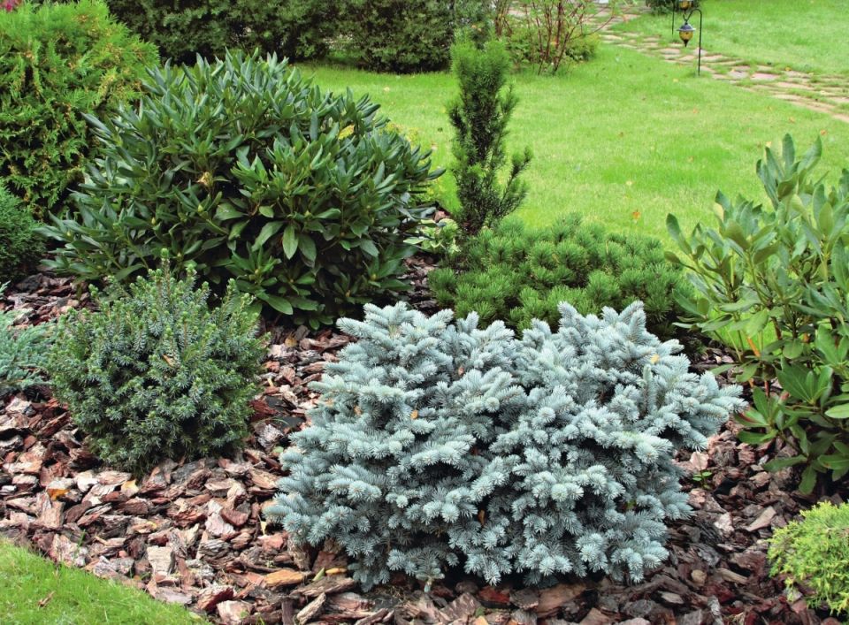 ��� ��������� �� ������ � ������ ��� ��������� ������� ����������