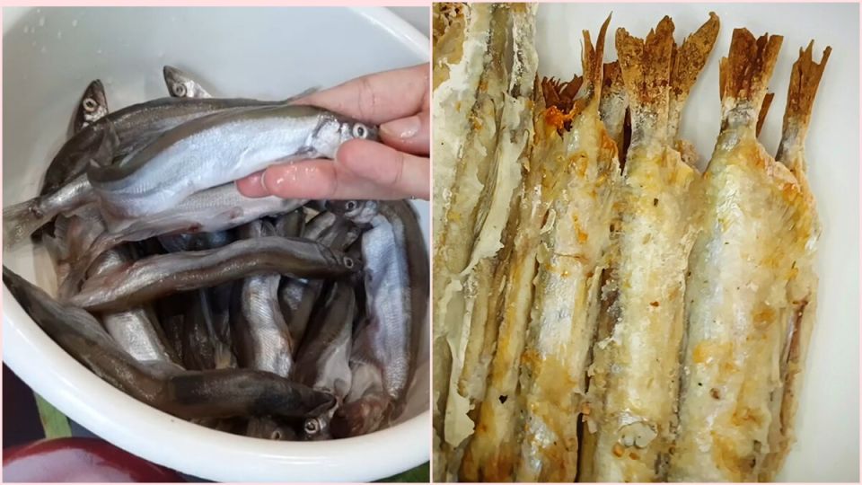 ���������� ����� � �������: ������ � ������