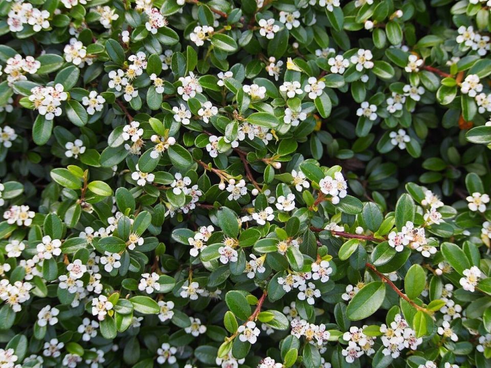 ����� ������: ��� ������������ ��� � ����� ���������� ������� ���������� � ����� ����