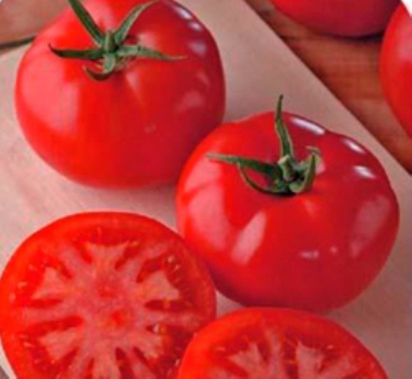 ������ ������� 