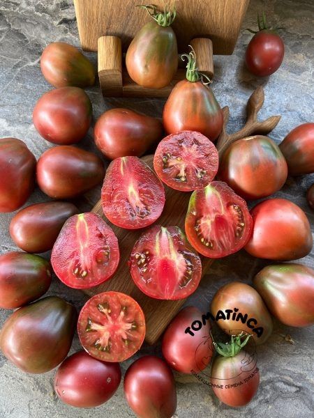 ����� ��������� ������ �������: ����������� �������� � ���������� ������