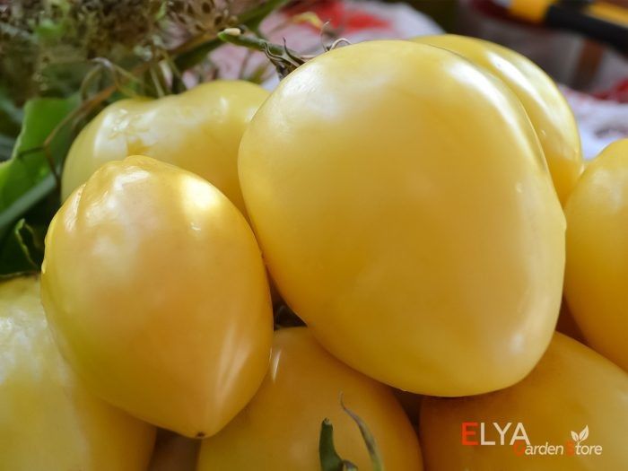 ����� ������ ���� � �������: ��� ��������� ������� � ��������� �����