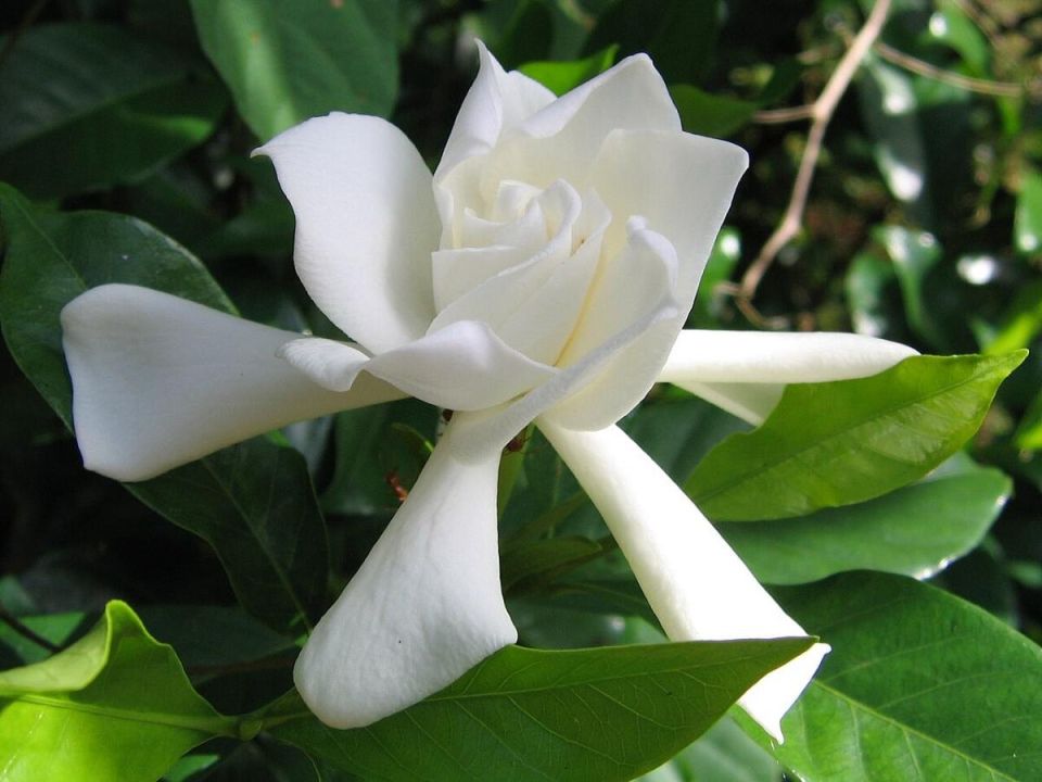 ��� ��������� �������� � ��������: ������� ����� � ������ �����