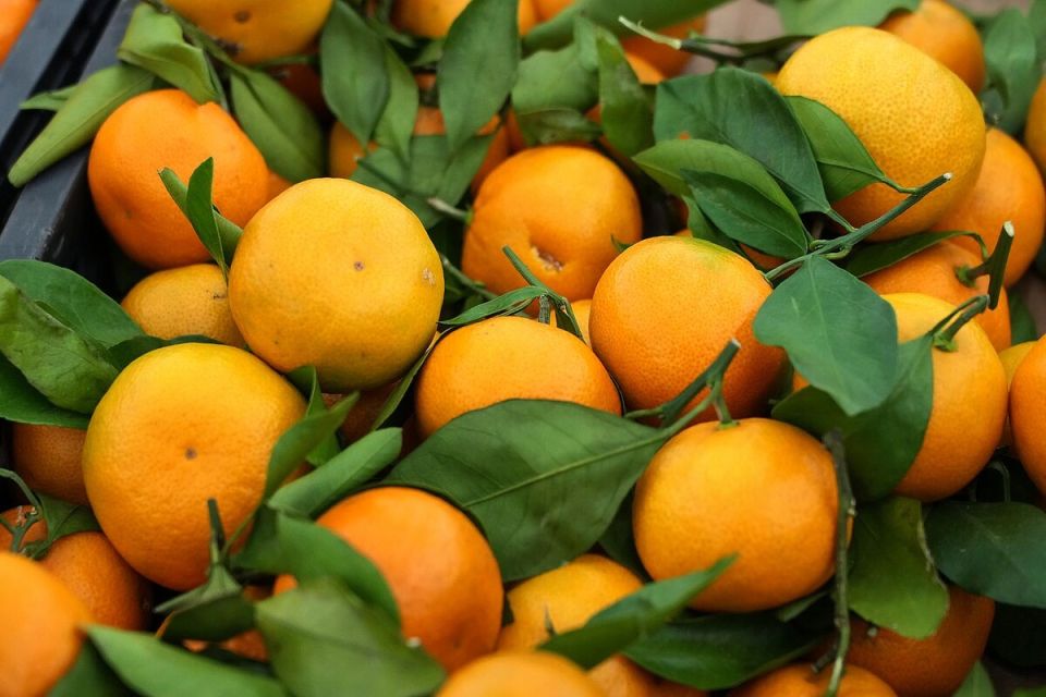Как выбрать мандарины без лишних сюрпризов и сохранить свежесть