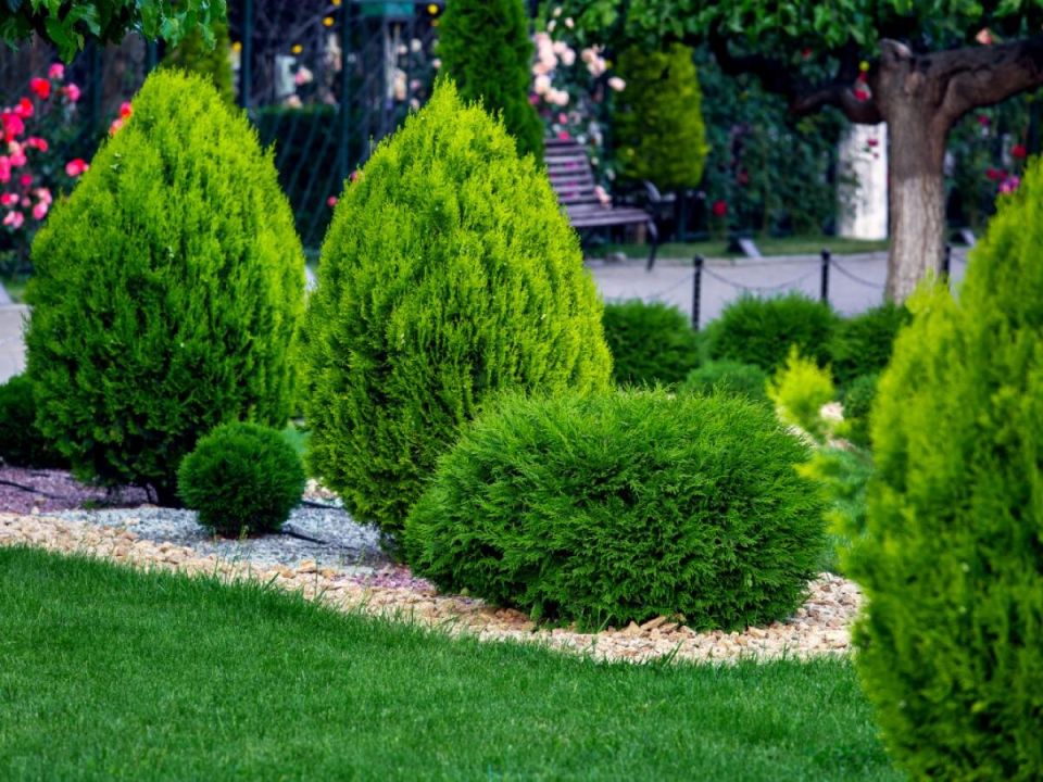 ���������� ���� � ���: ��� ��������� �������� ��� ��������� �����