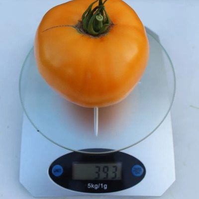 ����� ������� �����: ��������� ���������� ������������ �������������� ����� � �����