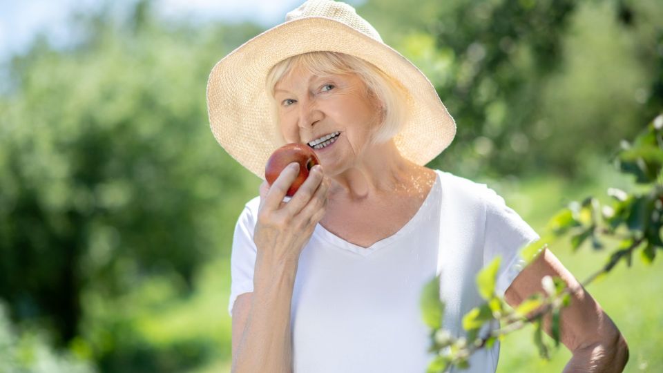 ������ �� �������� �� ��������� ������: �������� ��������� ����� � ������