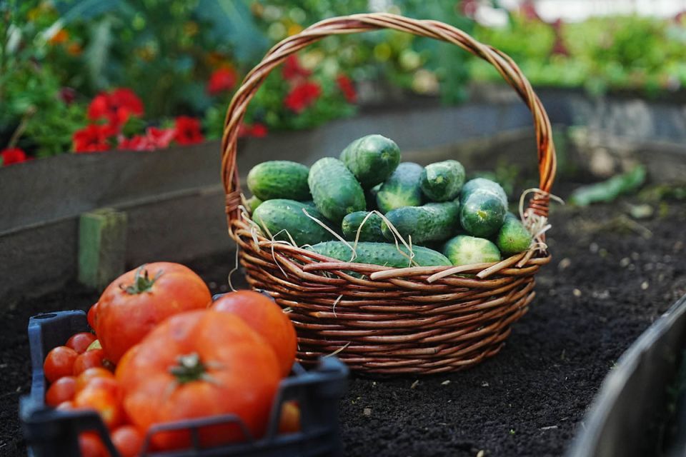 ���������� �� �������: ������� � ������� ������� ��������