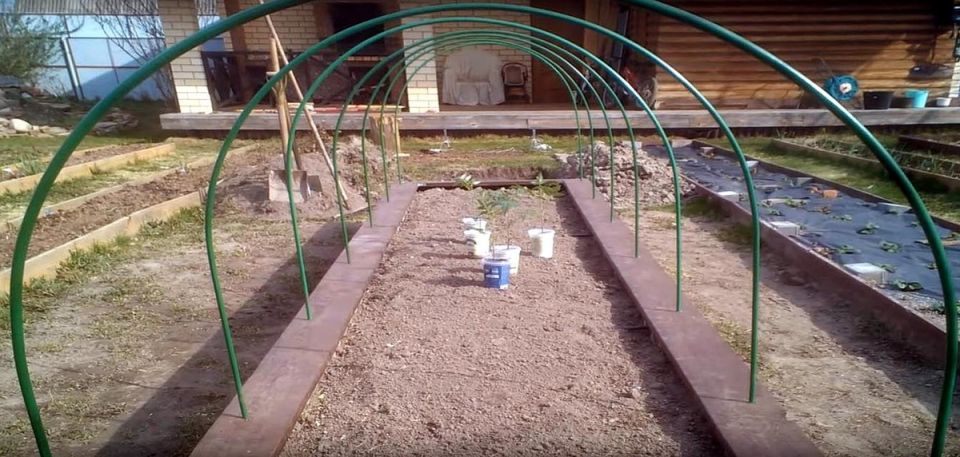 ��� ������� ������ ������ � ��������: ��������� ����������