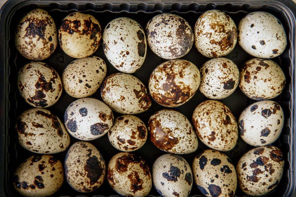 ���������� ��������: ������������ �������� ��� ������ ���� � �������� �����