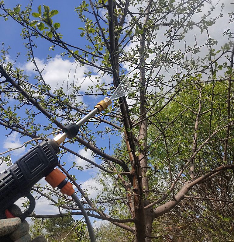 ��� ��������� ������������ ������� ������: ������ � ������������