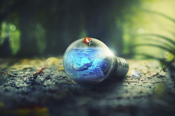 ��� ������ ���� ���������� � ��������: 3 ���������� ����