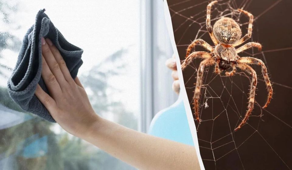 ��� ������ ������� ���� ����������� � ���������� �� ������: �������� ����