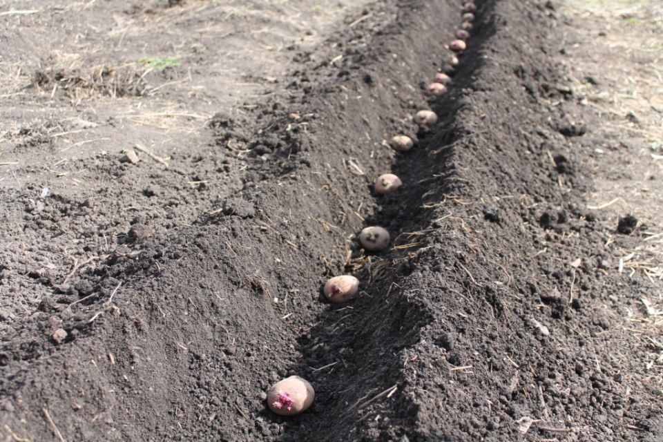 ������ �� ����� ���������� ������� ������ ���������