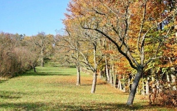 ������� ������� ��������� �������� ��������: ��� �������� ������� ������