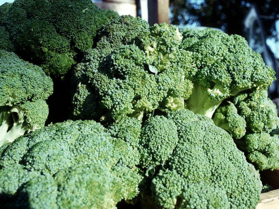 ����� ������: ��� ��������� �������� �� ����� �������