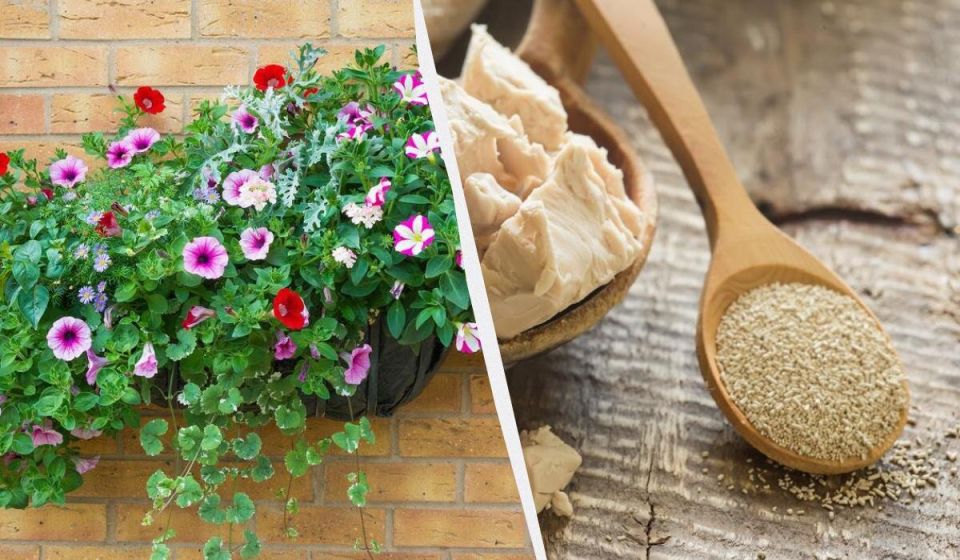 ������������� ������ �� ��������� ������� � �������������� ��������� ������������