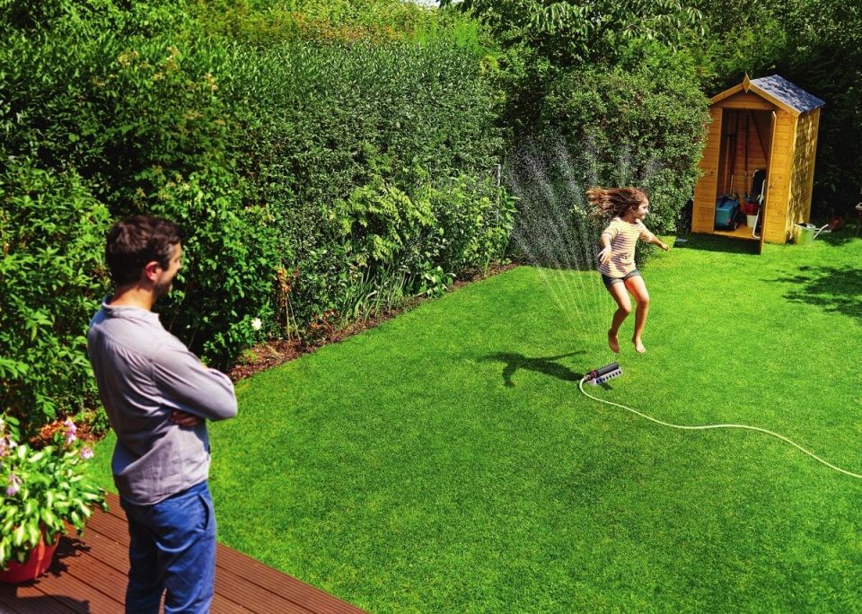 Как правильно кормить газон: секреты успешного ухода